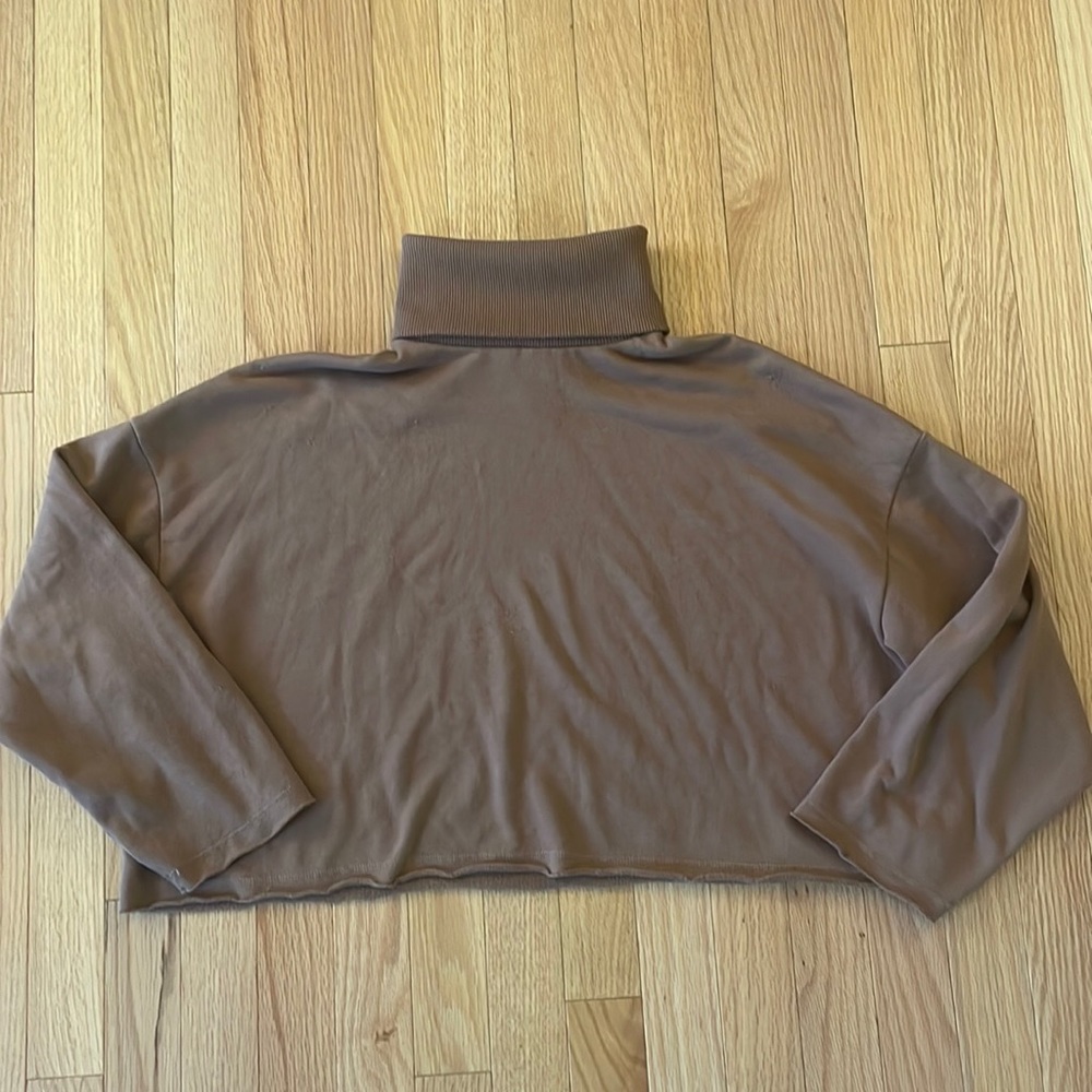 American Eagle Outfitters cropped turtleneck sweatshirt